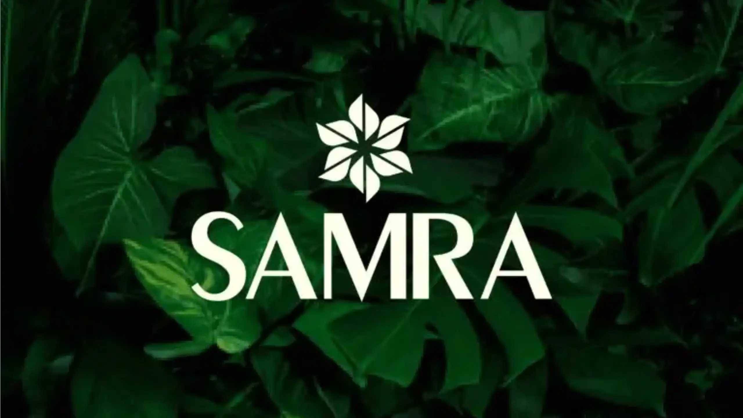Works - BAM Media Max